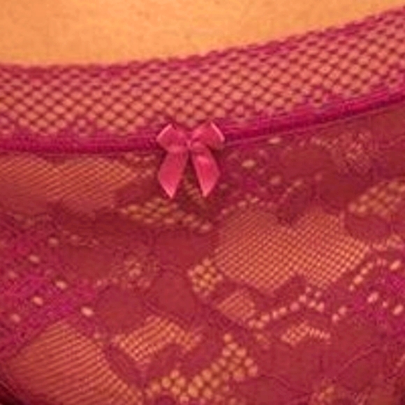 ❤️NWT VINTAGE TORRID PANTY - FLORAL LACE SEMI-SHEER HIPSTER - PLUS SIZE 5X - Picture 2 of 9